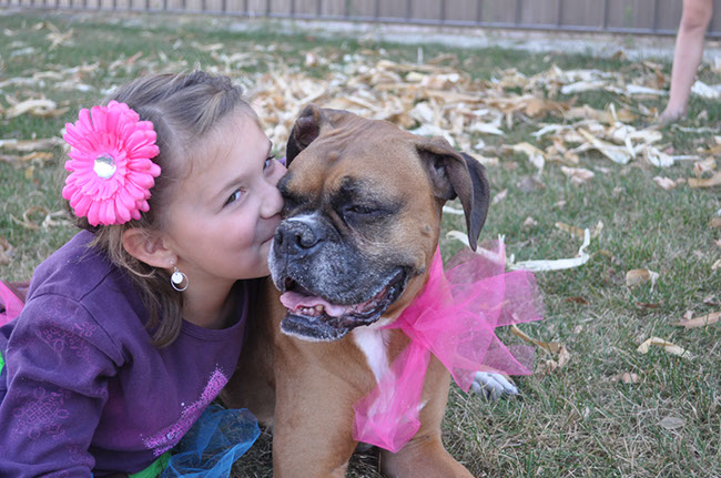 apple orchard and kari's sadie 113